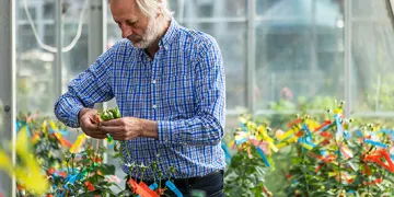 Philip Harkness in his nursery 