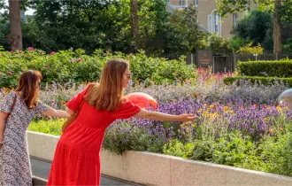 flourishing garden squares