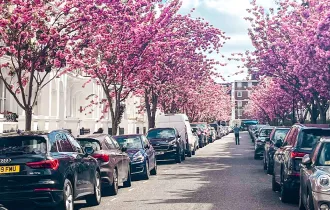 Chelsea Townhouses History