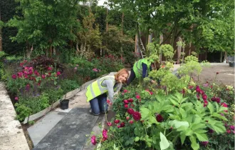 Chelsea Barracks Gardener Jo Thompson