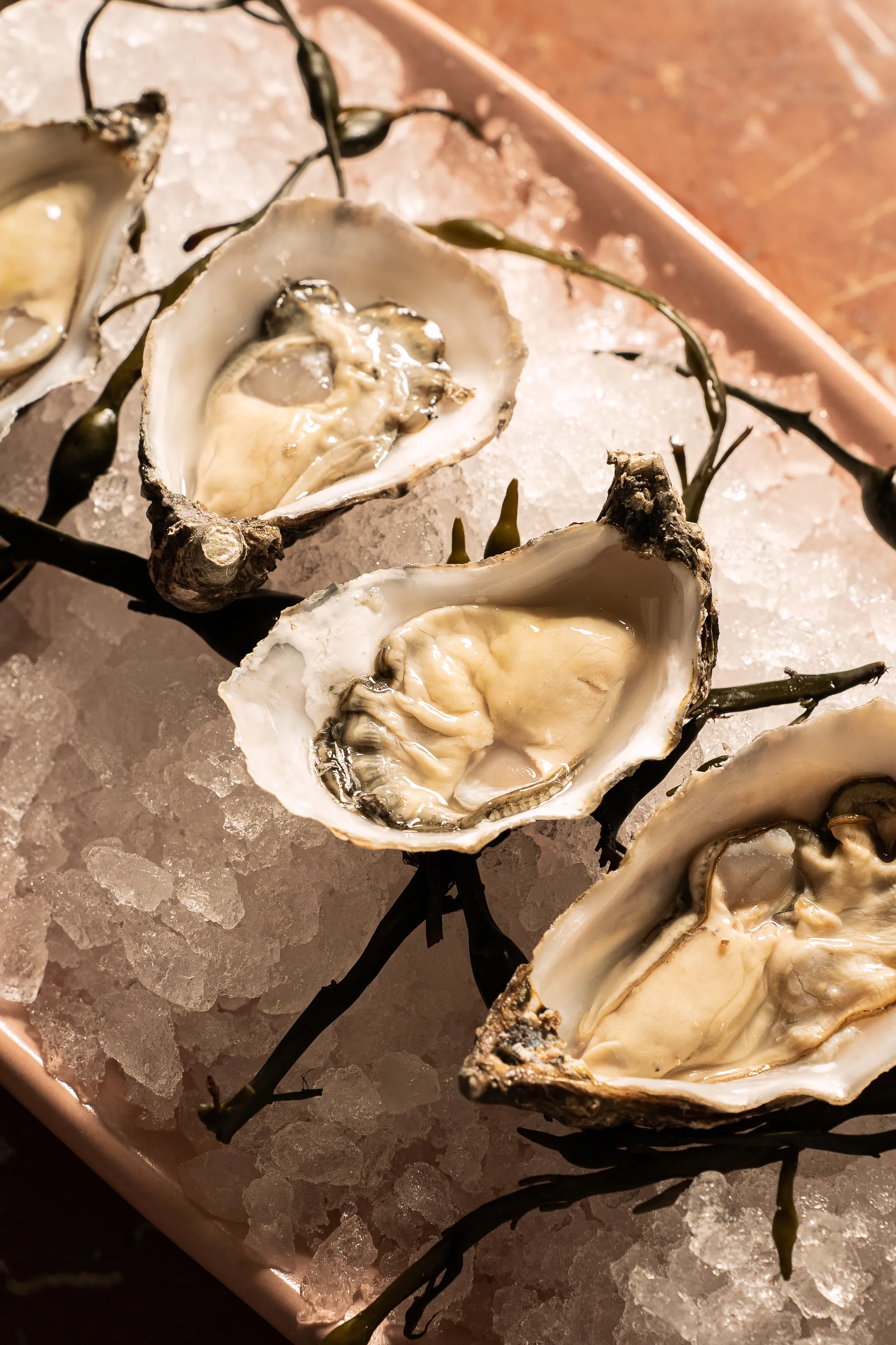 Oysters 