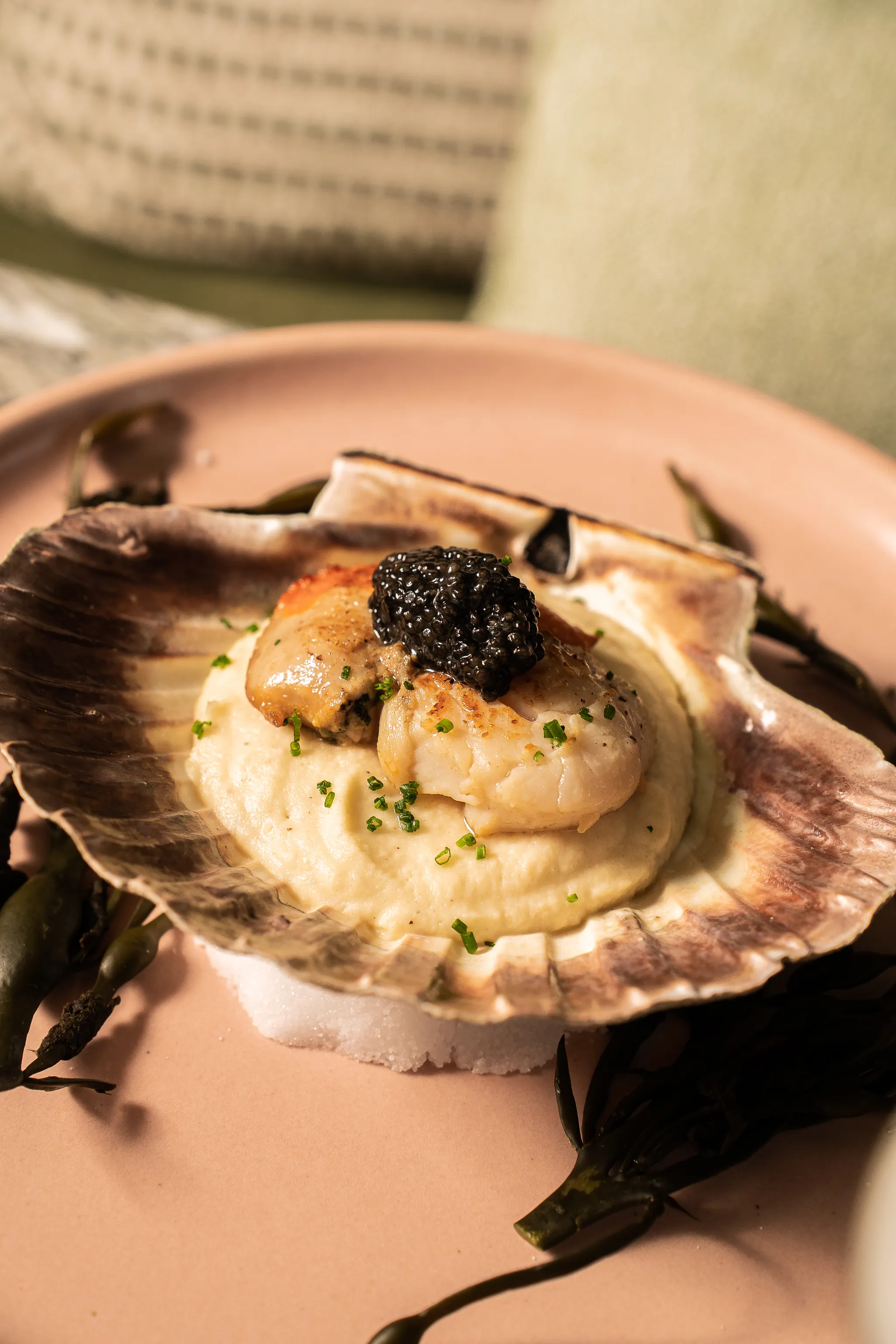 Scallops