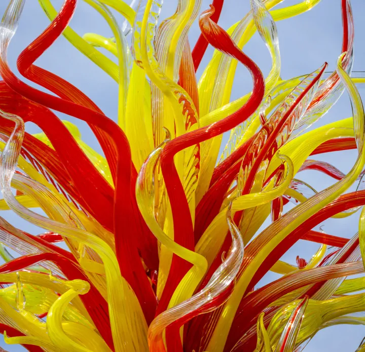 Chihuly