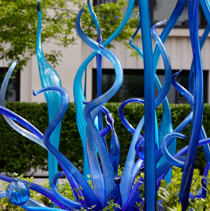 Chihuly Mulberry Square Fiori