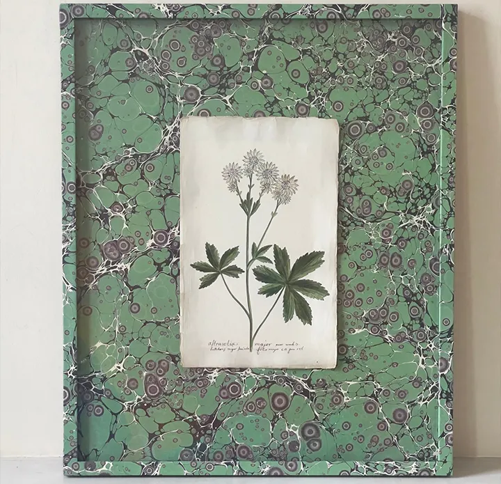 Collins-and-Green