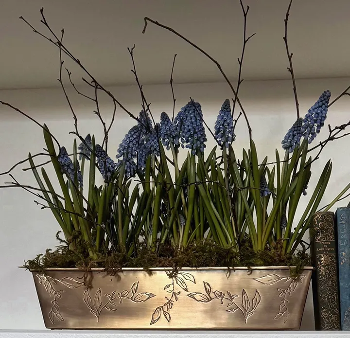 This Home Grows